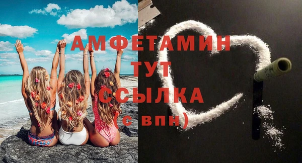 ГАЛЛЮЦИНОГЕННЫЕ ГРИБЫ Богданович