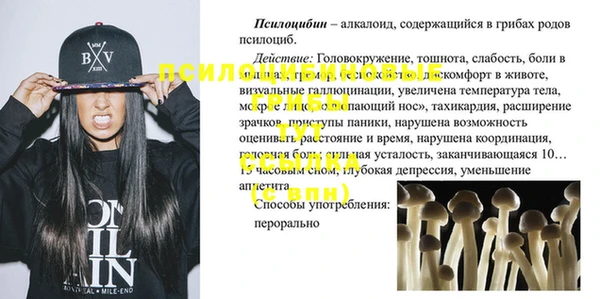 молекула духа Богородск