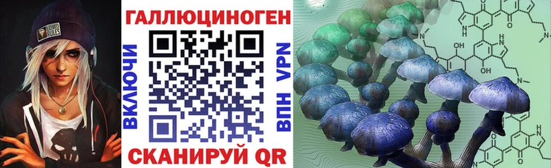 Псилоцибиновые грибы Psilocybe где можно купить наркотик Бутурлиновка